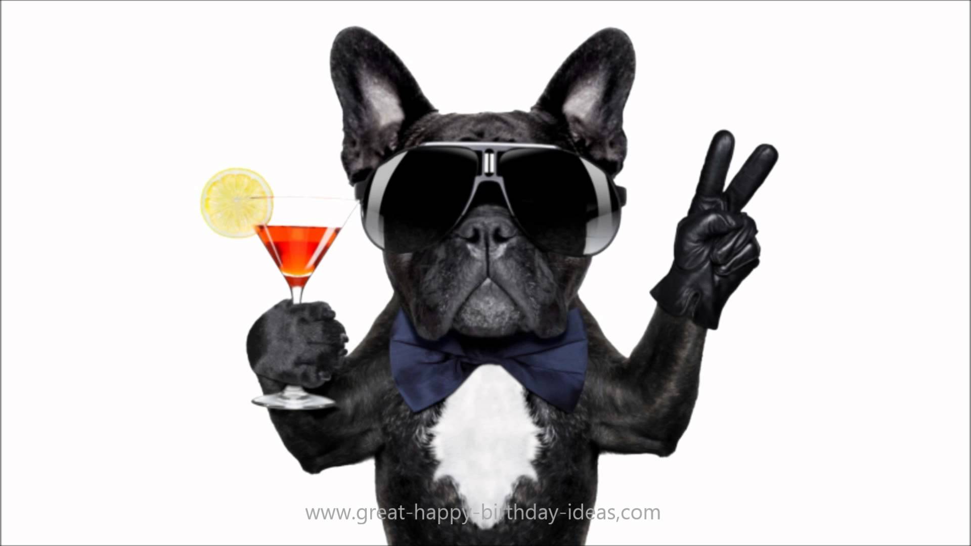  Happy birthday and enjoy this particular day!  