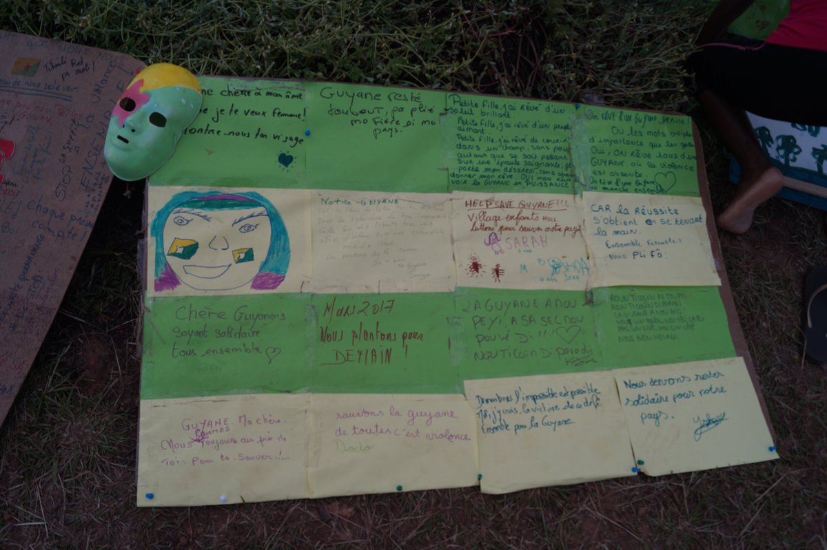 Emerillons's tweet image. #JeSuisUnTamanoir Expressions juvéniles sur le barrage de la crique fouillée. 25/03/1017 Cayenne