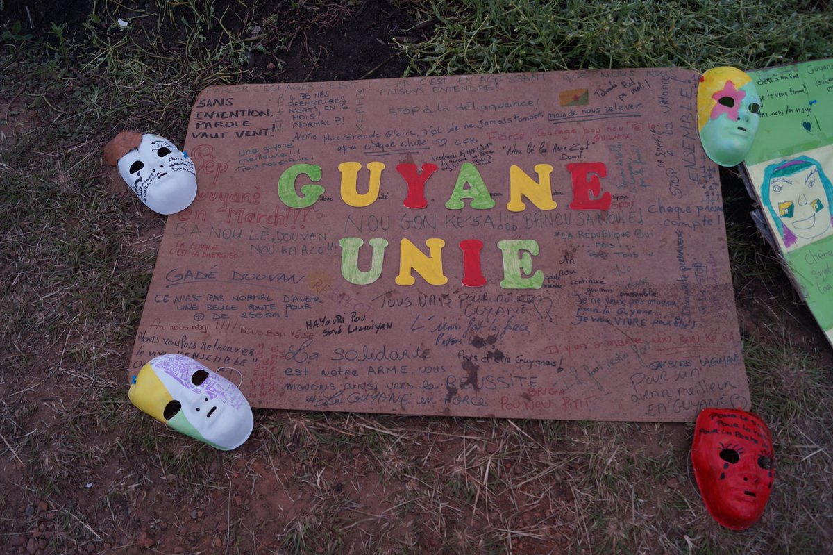 Emerillons's tweet image. #JeSuisUnTamanoir Expressions juvéniles sur le barrage de la crique fouillée. 25/03/1017 Cayenne