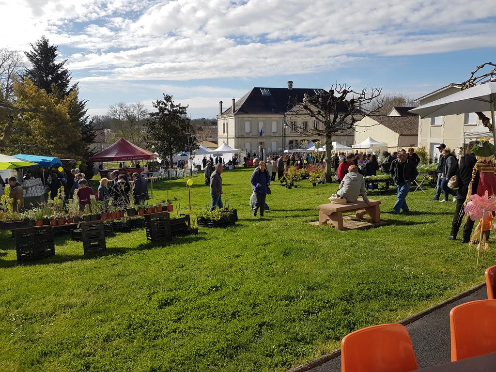 FDUGASRAVENEAU's tweet image. Très belle foire aux plantes à #Cercoux et avec le soleil! Bravo @blanc0641 !