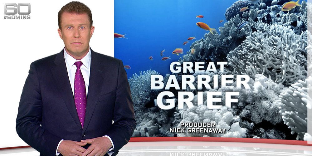 Berry Liberman (Berryfeather) Twitter