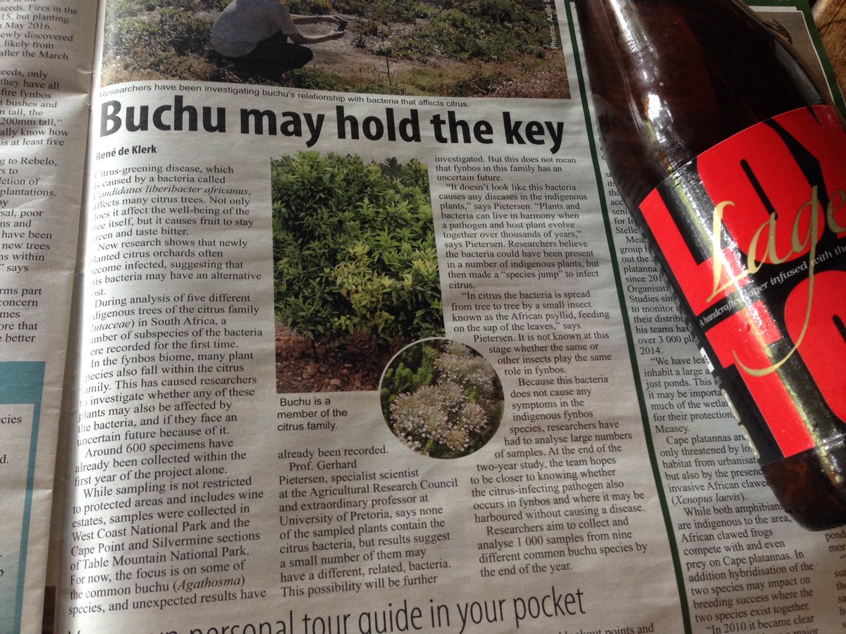 Research every day! #tastingretreat @BREWHOGS @thetaproomBS <a href="/TrapidoAnna/">Anna Trapido</a> <a href="/David_Higgs/">David Higgs</a> <a href="/janhendrikvdwes/">Jan Hendrik vd</a> @ZAVineHugger