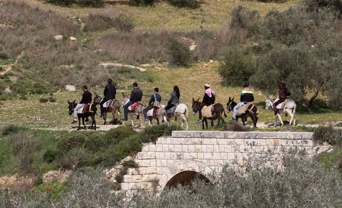 aa_balkans's tweet photo. #Palestina: Hodoljubljem na magarcima mladi uče o domovini i historiji https://t.co/9AFbPdgO0K #magarci #turizam #hodoljublje https://t.co/MUqel7rgpc