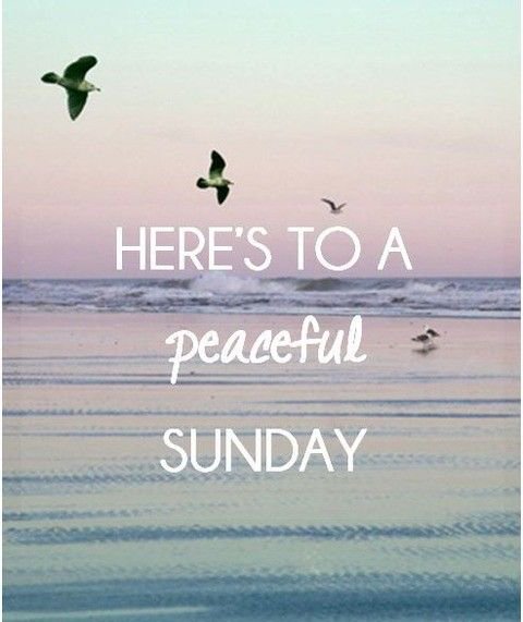 hayleymorrison5's tweet photo. Hope everyone has a perfect Sunday! 💕 https://t.co/uLbwLMhJ7p