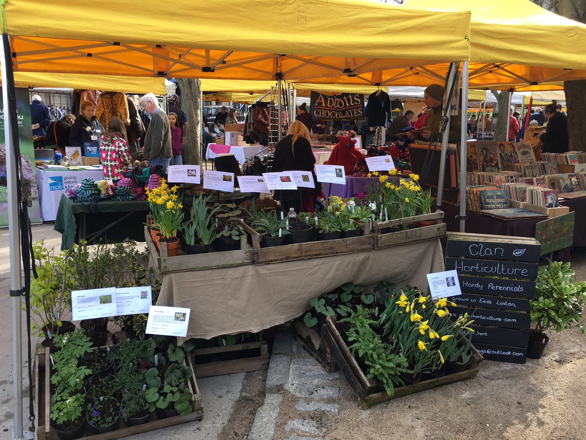 clan_hort's tweet photo. We are at @StockbridgeMark today, come and see us and get something for #MotheringSunday #daffodils #plants #market https://t.co/gYpNTAgif0