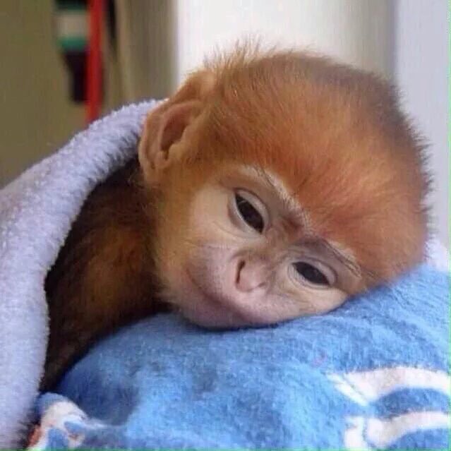 Coltraneee's tweet photo. So fragile. https://t.co/KPSLfhkeNx