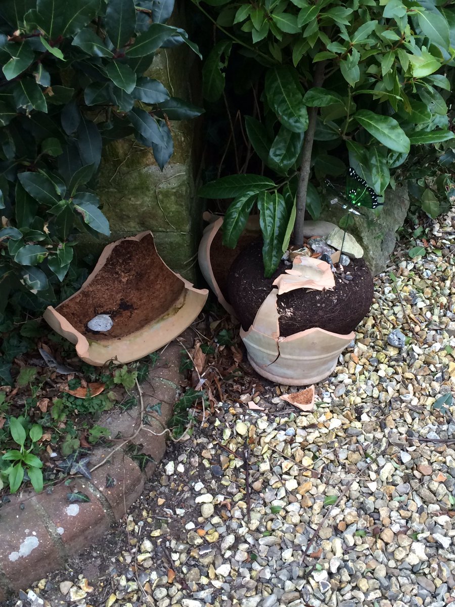 PDLaboratory's tweet image. customer service Yeovil said someone be out to photograph May 2016, three phone calls. Nothing. Driver didn't even apologise