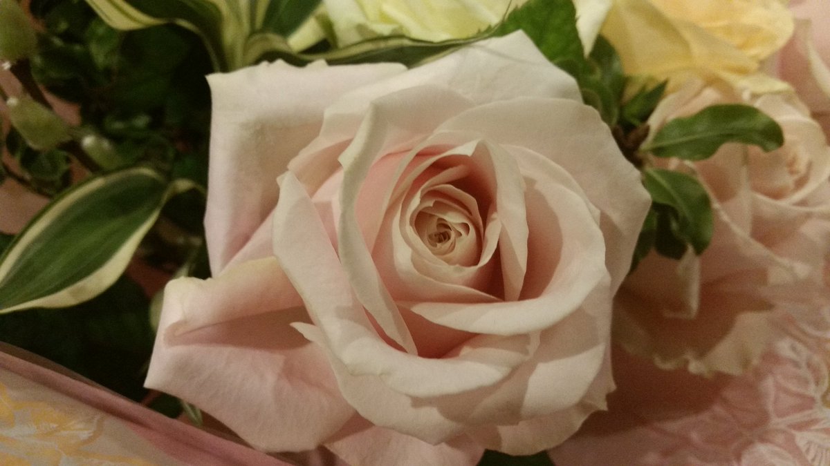 Moore Playground tweet media