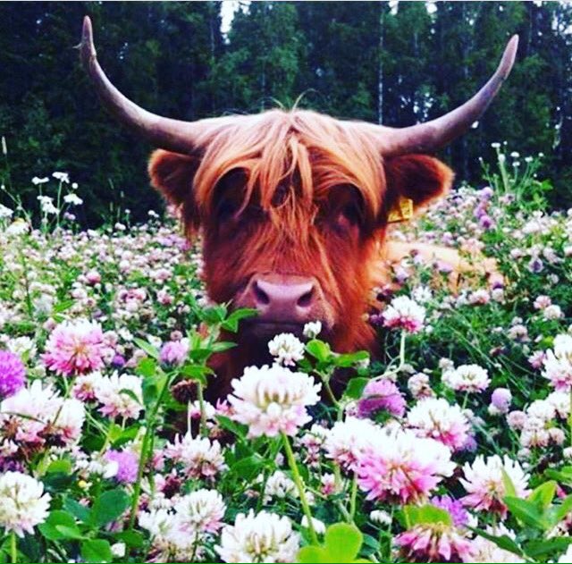 VintnersLife's tweet photo. Happy Spring! https://t.co/5D8YNCKqbx