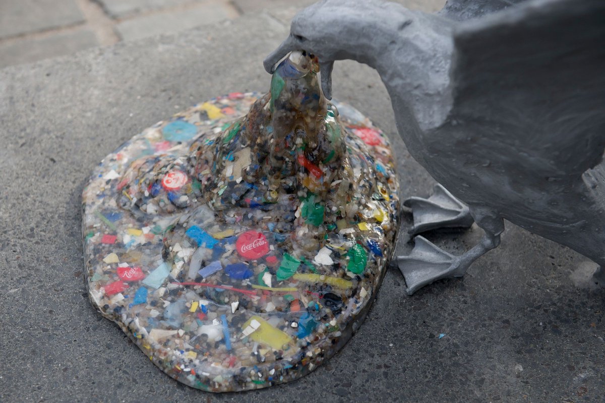 plasticsoupfoun's tweet image. Once unthinkable, now common: Seabirds eating huge amounts of #plastic so this artist made statues about it: buff.ly/2nTjESn