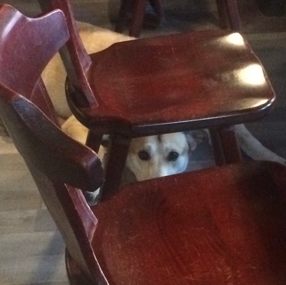 Rauhallinen sunnuntai