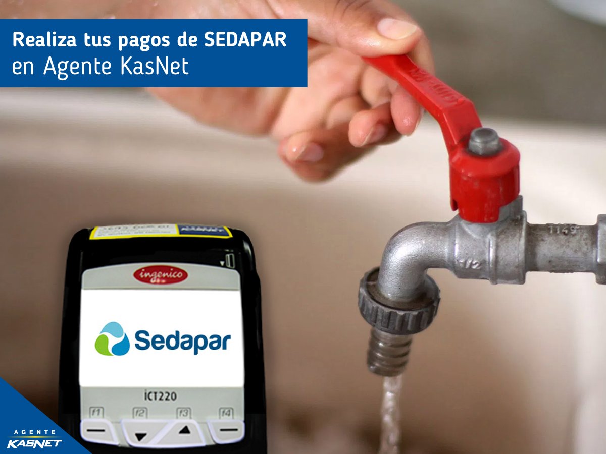 Agente KasNet tweet media