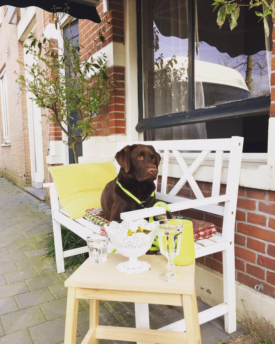 Vier de lente met/bij de Wolff! ☀️☀️☀️ #relaxenvoordedeur #slaaplekker #komjeook?