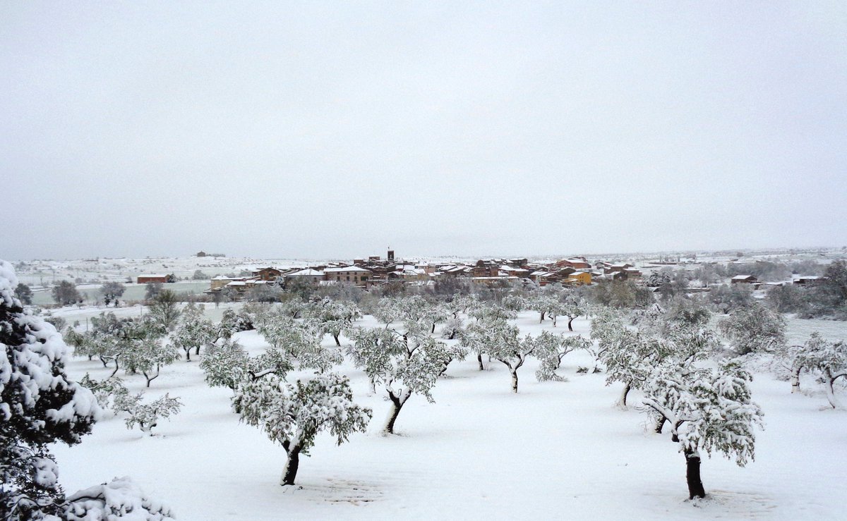 LlenesJosep's tweet photo. Tarroja 25 de març de 2017. Primavera? https://t.co/MWHAt6GvZZ