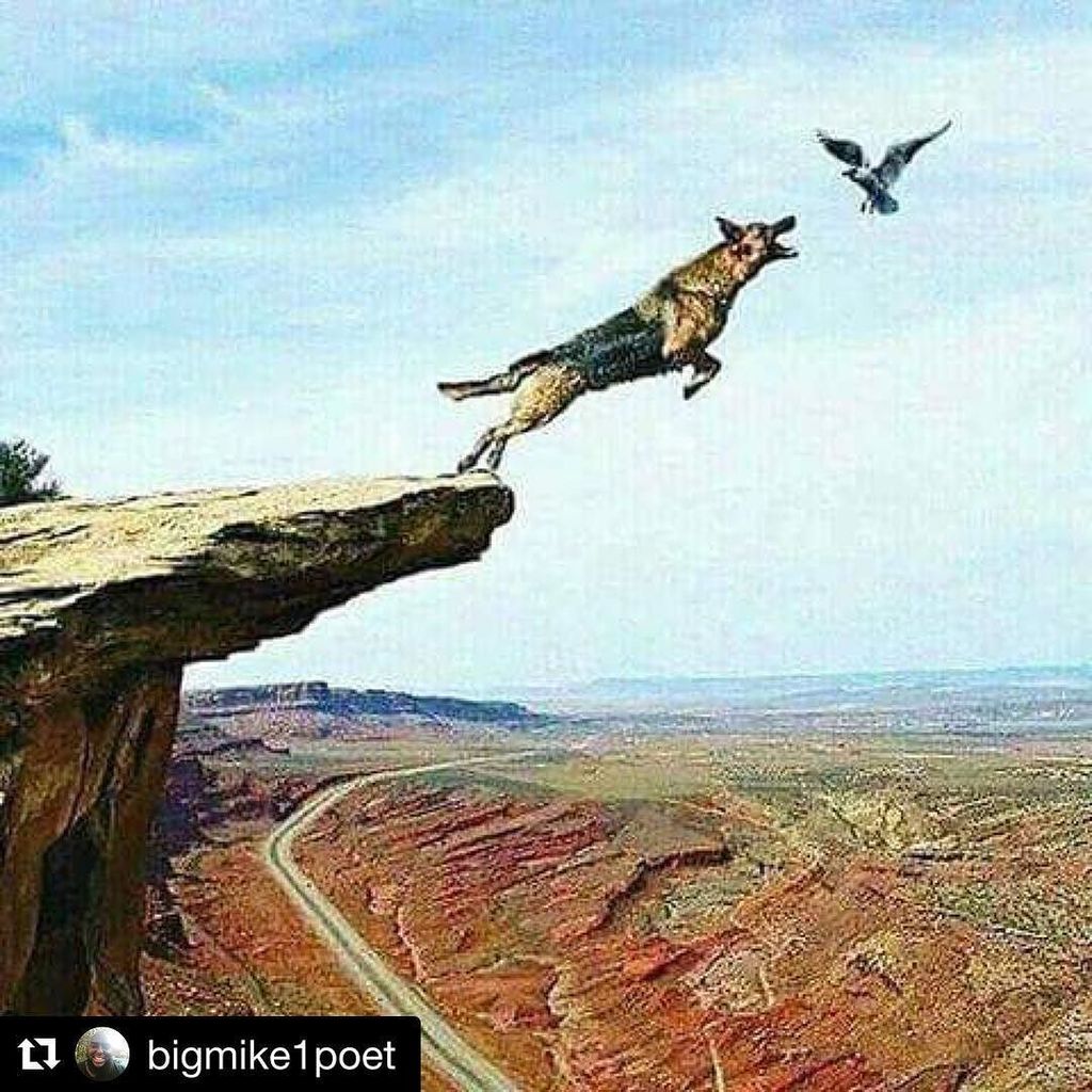 Barbernomics101's tweet photo. #Repost @bigmike1poet with @repostapp
・・・
Three Lessons from this picture: 1. Sometimes th… https://t.co/0VqZq8zQB3 https://t.co/uocOXtZsOK