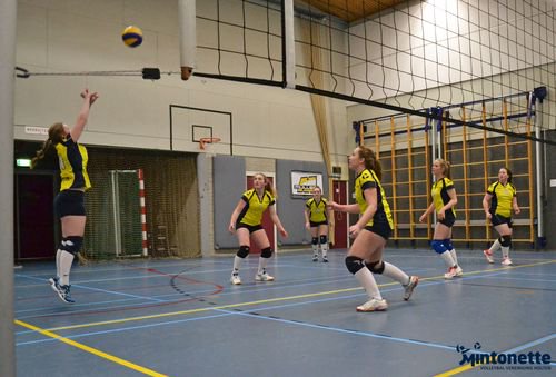 MintoTweet's tweet photo. Verslagen en foto's 24&amp;25 mrt. #Mintonette A1 verlies &amp; winst, D1 nipt verlies en NV2 zwaar tegen lagere niveaus. https://t.co/pyngLFaZLa https://t.co/3Z2HQT8Drh