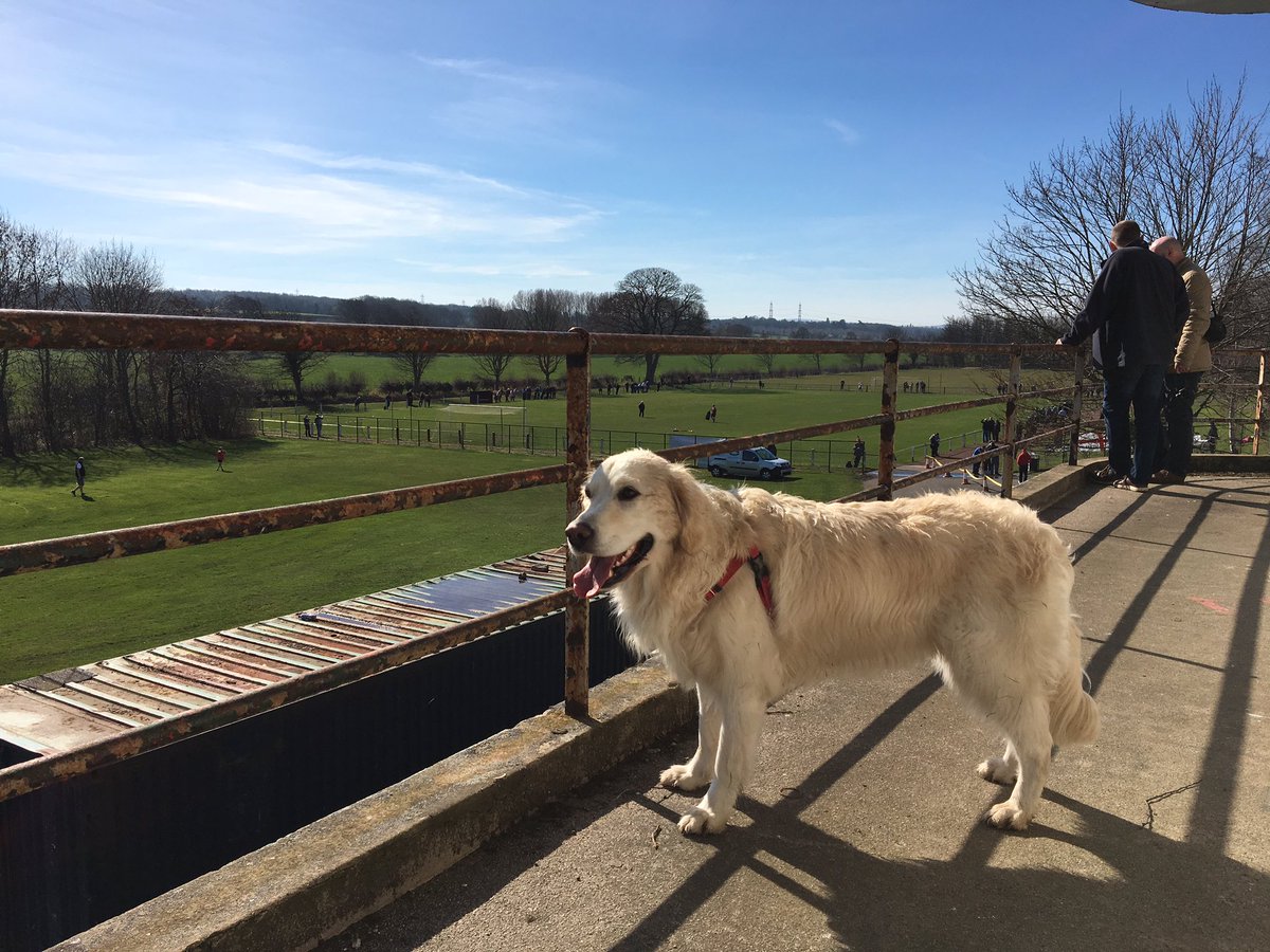 BrewDoge's tweet photo. Taking in the action from the final #scotsHop match here in sunny Ormiston vs @LeithAthleticFC @nonleaguedogs #groundhopping https://t.co/J1ZmblS9UW