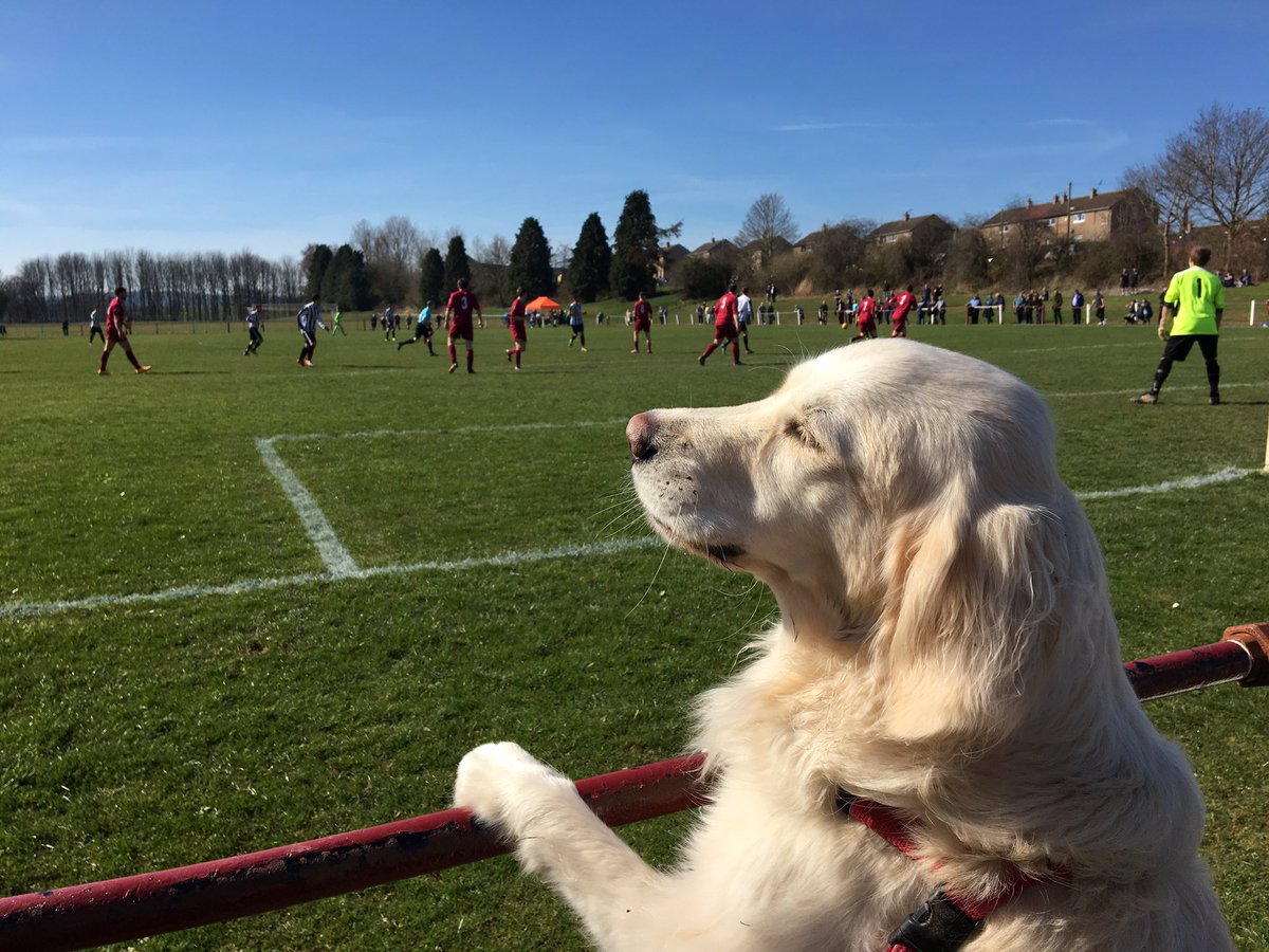 BrewDoge's tweet photo. Taking in the action from the final #scotsHop match here in sunny Ormiston vs @LeithAthleticFC @nonleaguedogs #groundhopping https://t.co/J1ZmblS9UW