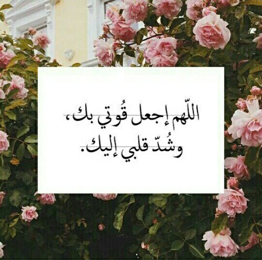 اللهم إجعل قوتي بك،وشد قلبي إليك.