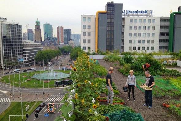 proefdewijk's tweet photo. Hoe kan de #stadslandbouw onze voedselketen verduurzamen? https://t.co/WrngFMGVeT @De_Zwijger
en @VPROTegenlicht praten ons bij. https://t.co/7DNKrkY7bd