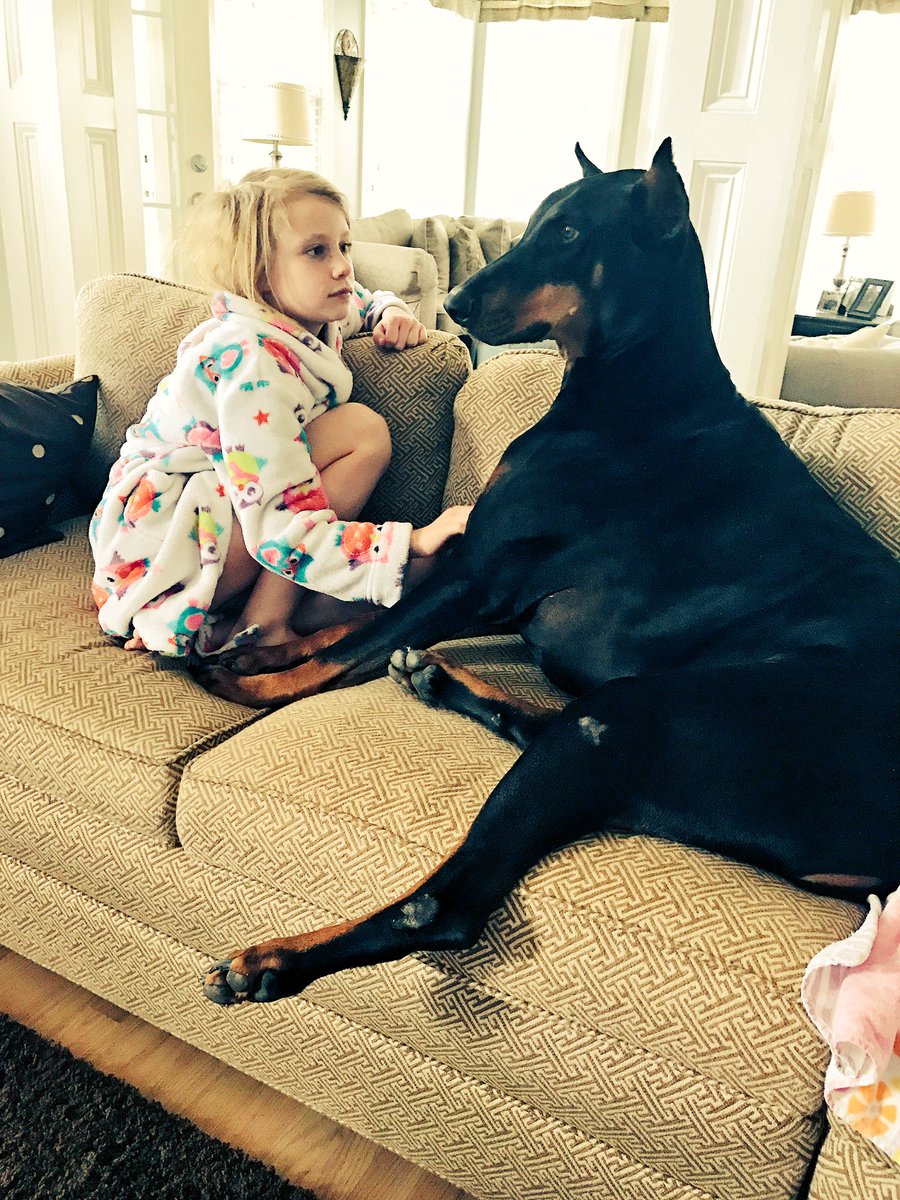 Actual1Murf's tweet image. @ClubDobe @CassityCaire @dogcelebration - Ella and Rex talking through the important things on a Sunday morning