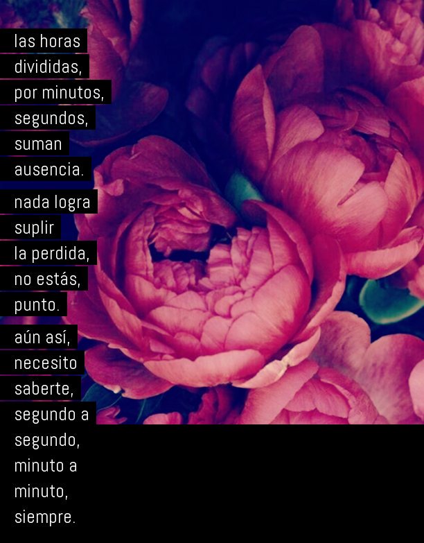 Poetas_Nuevos's tweet photo. #ausencia #saberte #amor https://t.co/BU9rTyUgDs https://t.co/5gRSN3hOjL