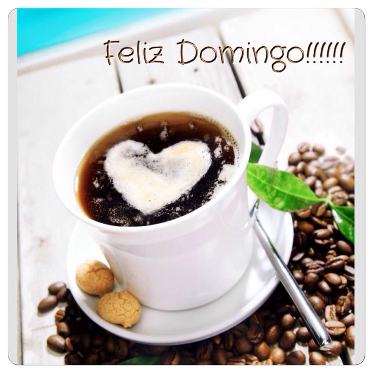 cantocabrestero's tweet photo. Que tengan un feliz domingo
#ElCantoDelCabrestero
#Arpaa https://t.co/LWJilZAZWa