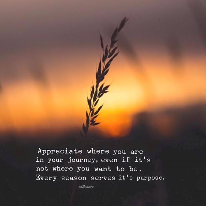 commitlife's tweet image. Appreciate where you are. #CommitLife