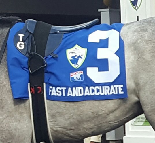 skipaway2000's tweet image. #SaddleClothSunday #Spiral #FastandAccurate #Hansensrevenge