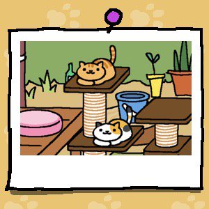 d8fde7df9822465's tweet photo. 何君ら夫婦なの？ww

#ねこあつめ https://t.co/GtEM43taQN