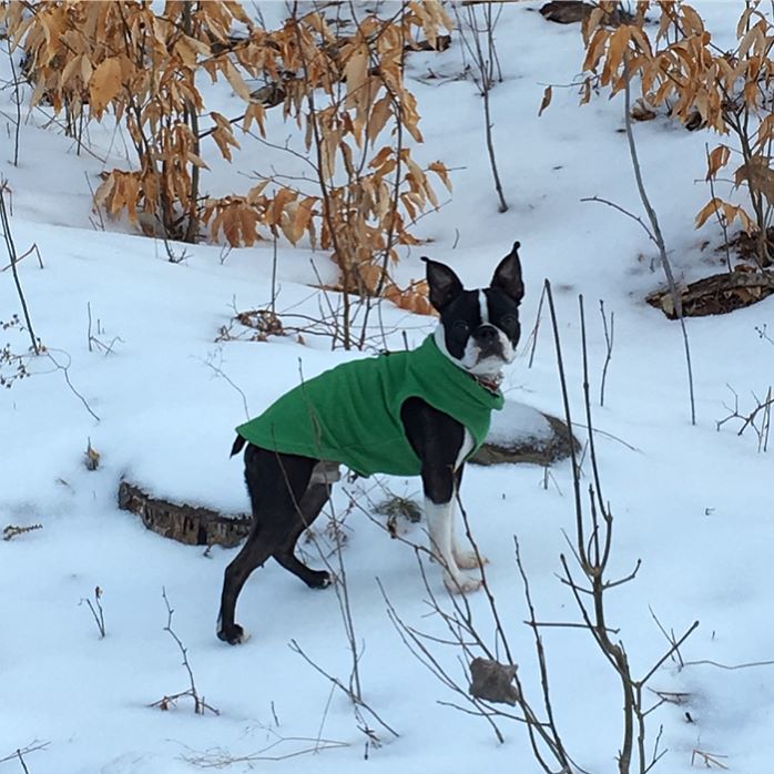 dnvmbr's tweet photo. Wally does Vermont! https://t.co/uNNOby4UOy