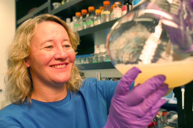 deniswirtz's tweet photo. NIH now accepts preprints in grant applications: much credit goes to colleagues @CWolberger, @CWGreider, and @StevenSalzberg1 #Bioarchive https://t.co/3Z6B1N6Mwt