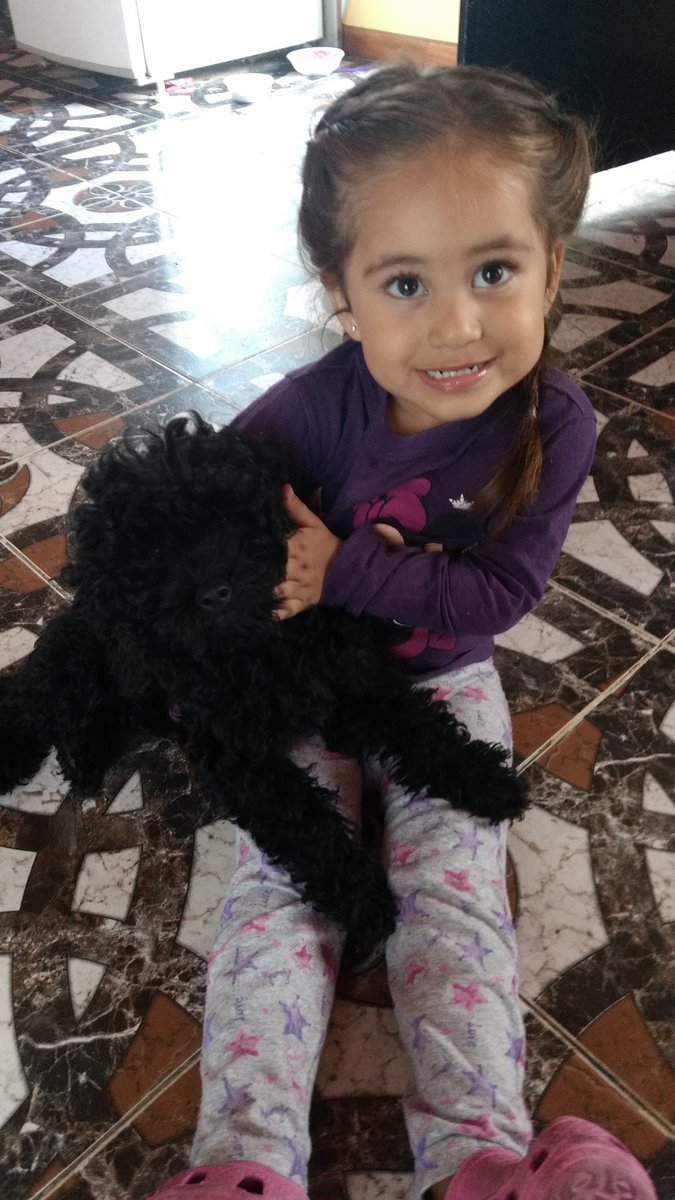 Marusi001's tweet photo. @todonoticias #EsteFinde jugando con mi perrita Peppa Lola https://t.co/ZXG0HAe1E6