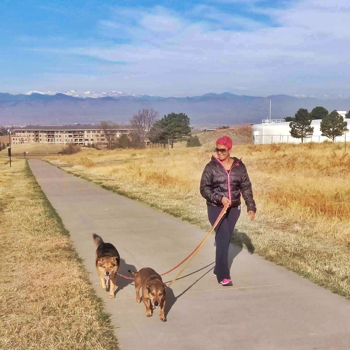 TTRaceThePlanet's tweet photo. We're loving our housesitt here in Denver, Colorado. This is Molly and Allie. 2 dogs were looking after. We're here till Wed, then Boulder. https://t.co/Q5kjUKs8Hd