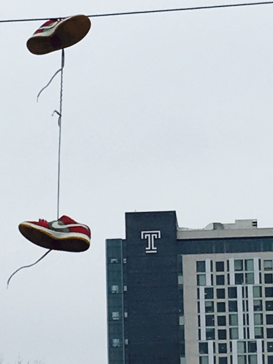 JohnMoccia's tweet photo. Hey @TempleUniv @admissionsTU .... @craigmoccia is thinking about nesting in North Philly in 2018 #legacy #Nice2beBack https://t.co/M6oB0C18V1