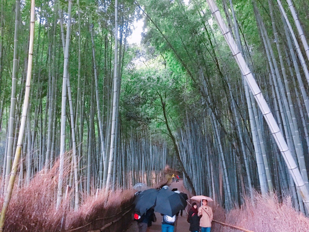 バイトだらけでやっと作れた今月初の連休はまあまあ濃かったからありかな〜
全部またしたいとおもた！