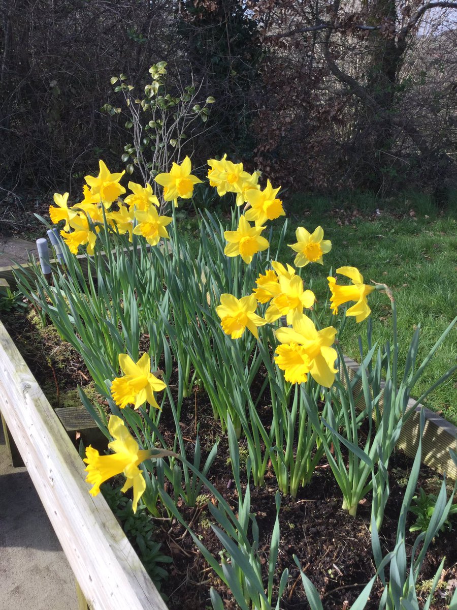 Barbara Crawford tweet media