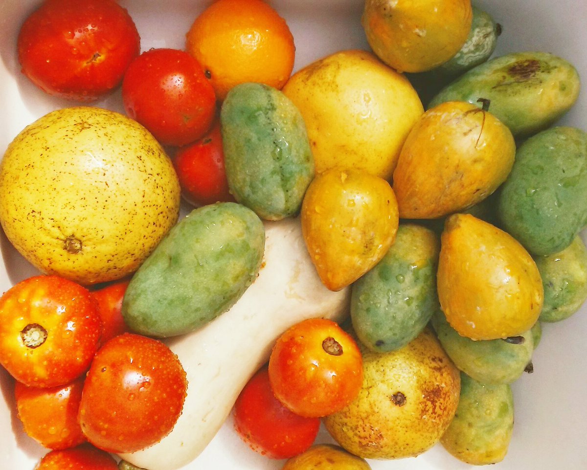 GreenLimeVegan's tweet photo. Hail #GLCFamily:
· Local Tomatoes 🍅
· Local Grapefruit
· Local Mangosteen
· Local Mangoes
· Local Squash
#FoodForThePeople
#BeAPeople https://t.co/4qcKLtwV0c