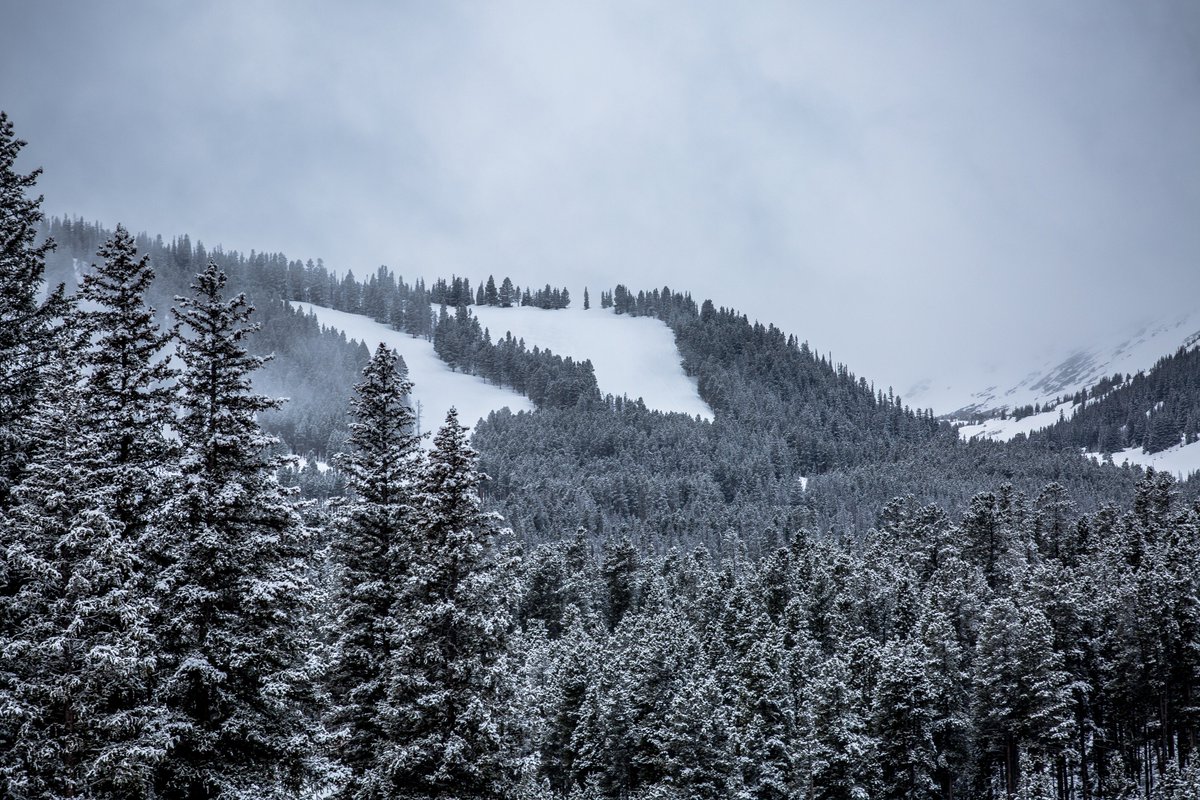 breckenridgemtn's tweet photo. 3 fresh inches on the slopes this morning, winter isn't over!
#Breck #BreckSnow https://t.co/kysXN0Luqg