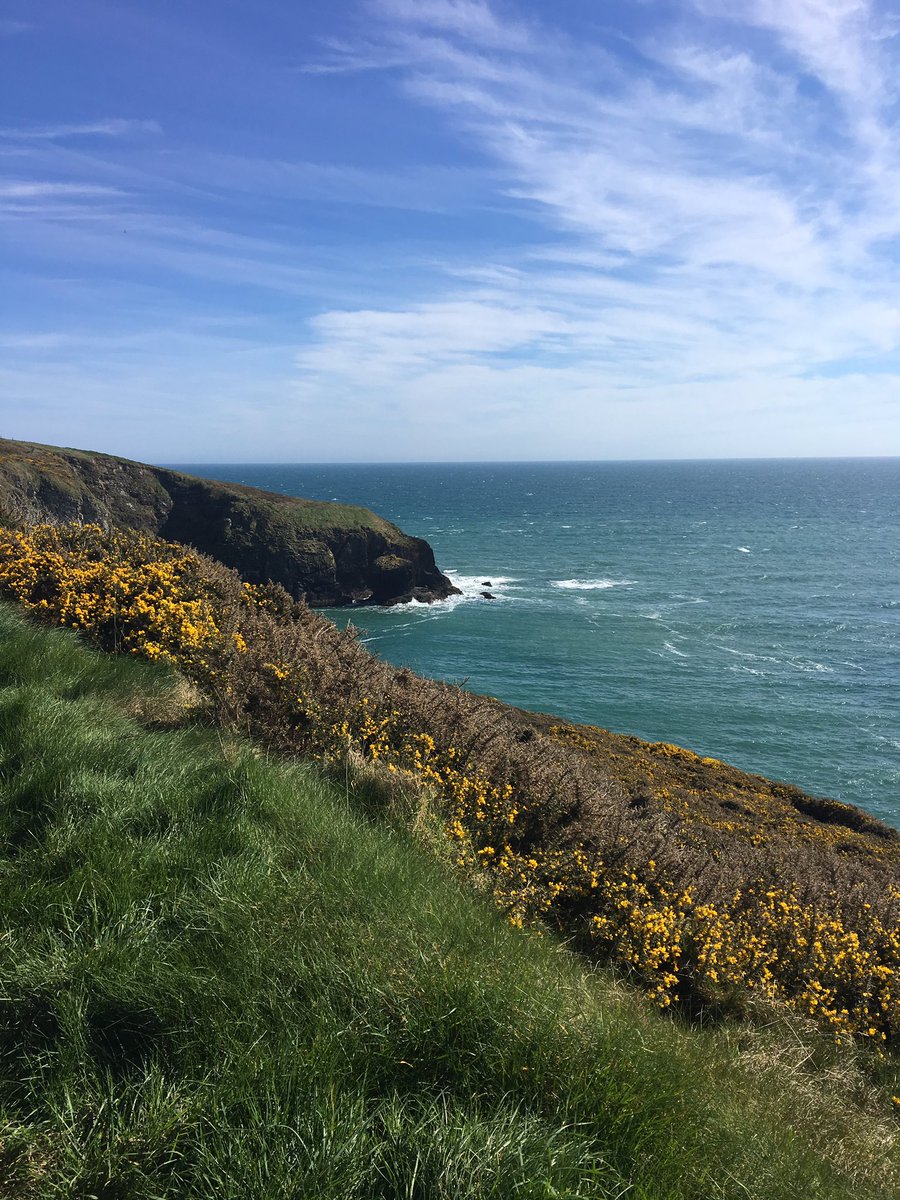 ThinkPositive21's tweet image. Love the cliff walk in Ardmore, especially on days like today 😊💕#ThinkPositive #MothersDay