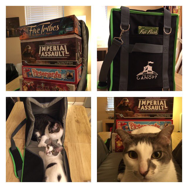 Jamaus2007's tweet photo. I'm not sure Millie and Roxy are invited to game night :P. This case is amazing!!!! @Level3B #gamecanopypackinstyle https://t.co/Jv0H7l5KrZ