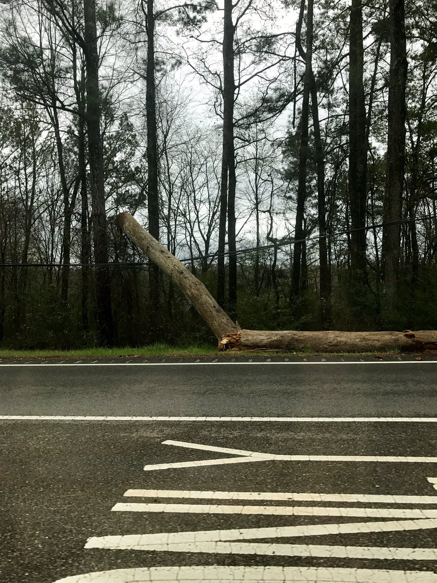 PREFisher's tweet photo. @alabamapower I reported this down tree on power lines in Trussville on US Highway -11 Northbound just past Stockton a week ago..... https://t.co/7CmrJYlDYx