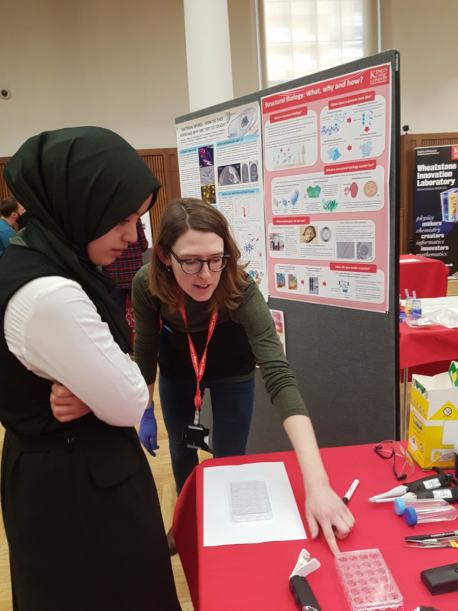 Niki 💎🧬 🦠 tweet media