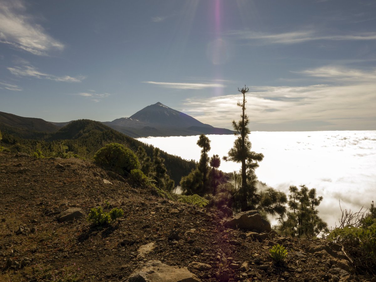sinigualpubli's tweet photo. Tenerife un paraje espectacular. Un mar de nubes que se puede hasta surfear. https://t.co/4goWIXWhCv