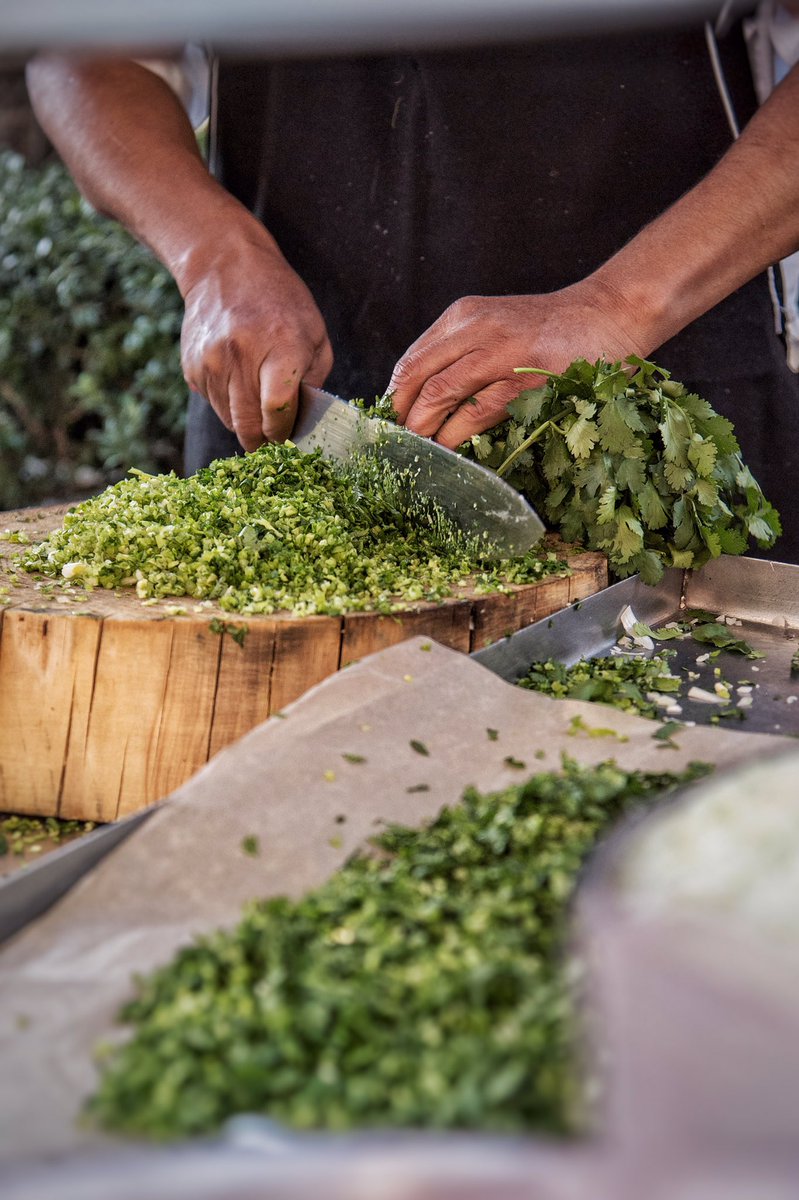 BetoLanz's tweet photo. Cilantro. No es mexicano; llegó de Asia. Lo importante es que se quedó en la comida mexicana para siempre. Cargado de sabor y vitaminas ✳️ https://t.co/O9MYfMd0sB
