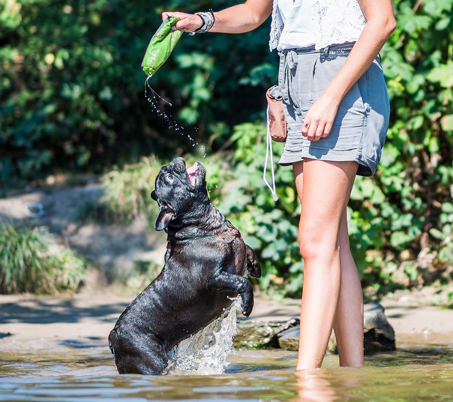 ENDLICH! Der Sommer kommt! 🐶😍 goo.gl/P8GQZL #dogs #hunde #sommer #bigbuddy_eu