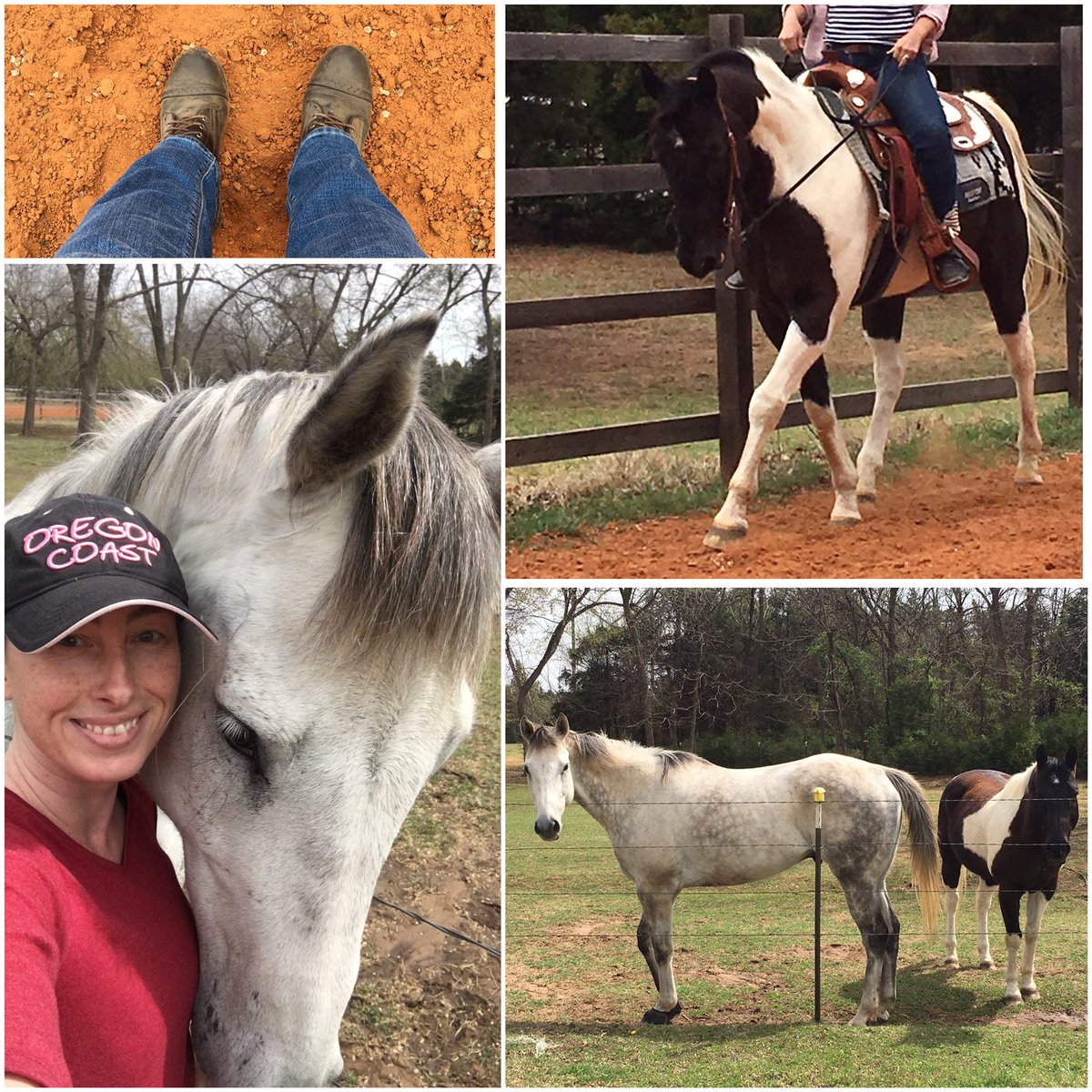 carriejeanz's tweet image. Horses make my ❤️ happy. #barnbuddies #horsecrazy #peppermintfiend