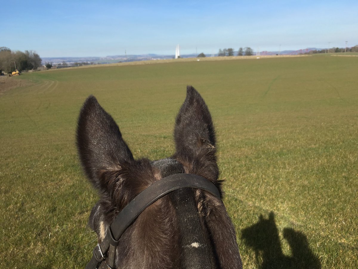 KJ1 🇬🇧🏴󠁧󠁢󠁳󠁣󠁴󠁿🍷 tweet media