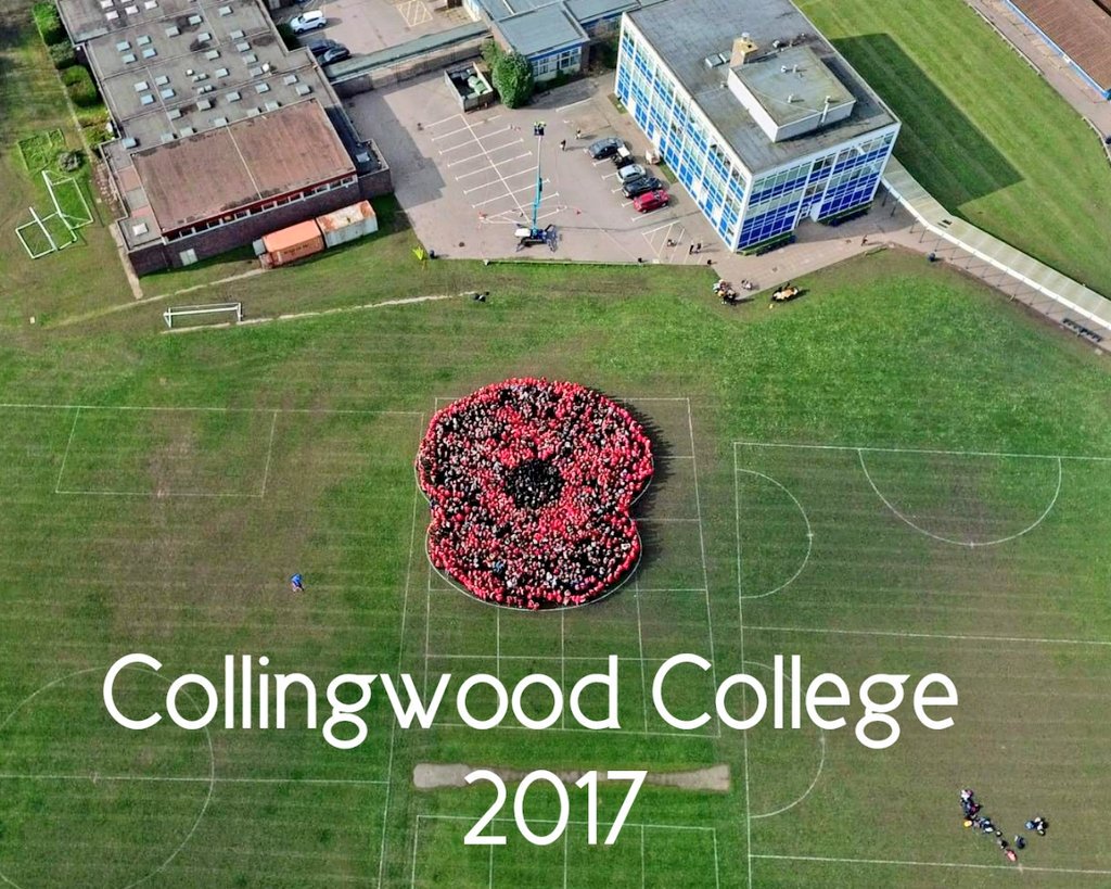Collingwood_WWC's tweet photo. @PoppyLegion have a look at our poppy logo made up of 2000 staff and students, our finale after fundraising for the @DNRCOfficial https://t.co/PiwZDPQFSc