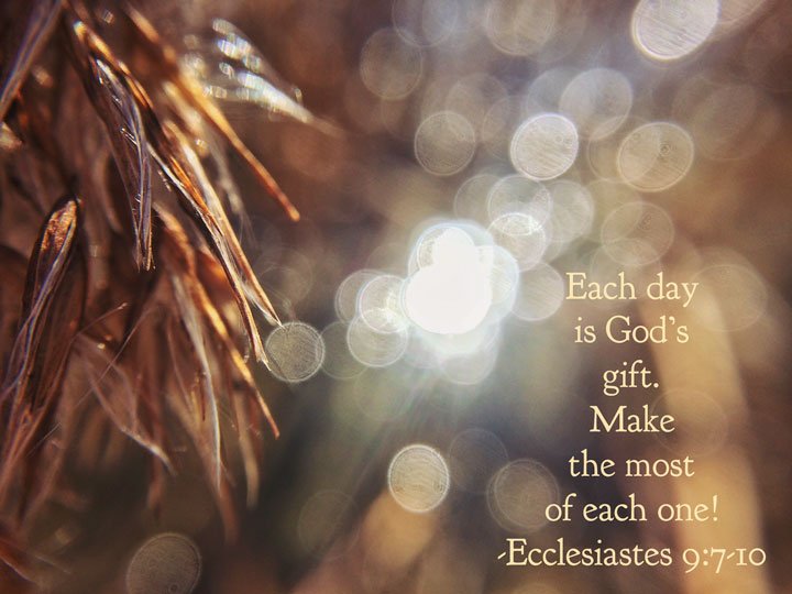 ThoughtsImages's tweet image. Seize Life! bit.ly/2n7zuFo #Iphoneography #celebrate #Gospel #ScriptureSunday